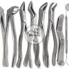 74 PC ORAL DENTAL SURGERY EXTRACTING ELEVATORS FORCEPS INSTRUMENT KIT SET - Image 2