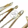 4 Extraction Set Dental Instruments Extracting forceps - Image 3